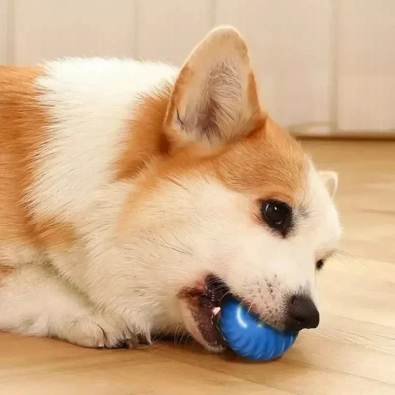 Automatic Moving Bouncing Light-Up Dog & Cat Toy Ball
