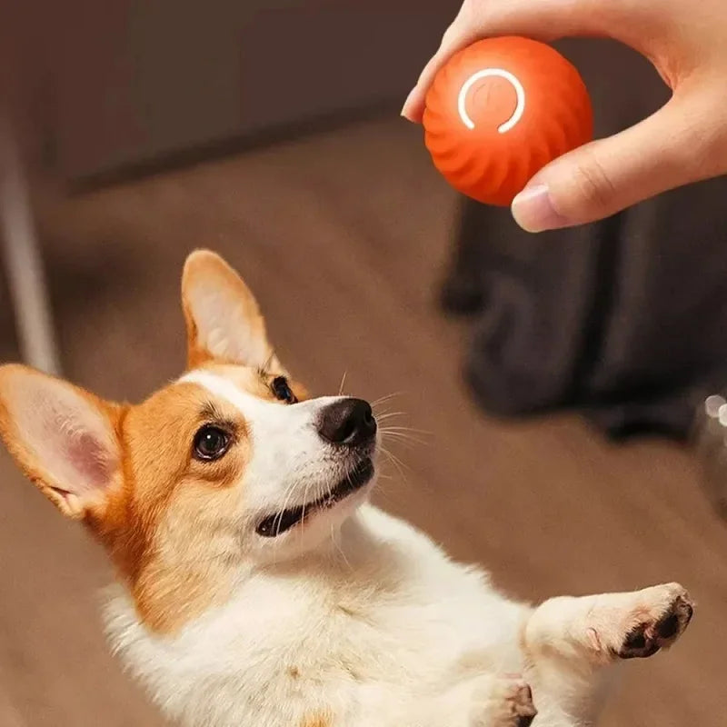 Automatic Moving Bouncing Light-Up Dog & Cat Toy Ball